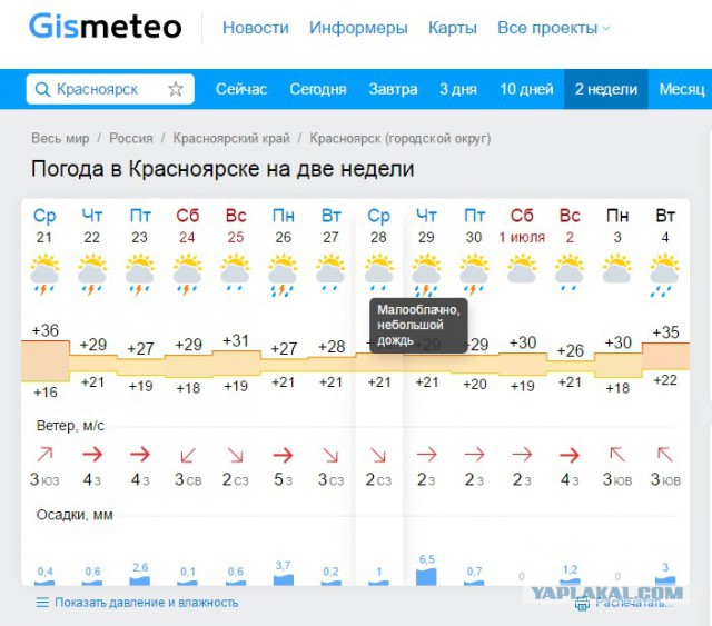 За что я люблю лето в Мурманске