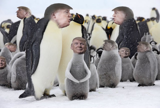 Фотожаба "Профиль Трампа"