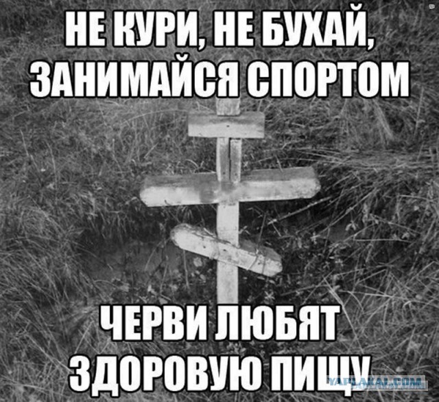 Дуров о ЗОЖ и построении общества на «других ценностях»: семь вещей, от которых должны отказаться люди