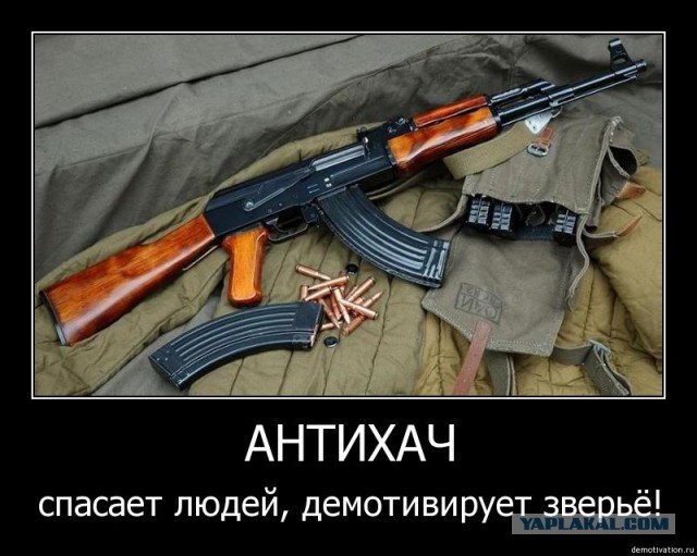 В Австрии чеченец устроил стрельбу из свадебного кортежа