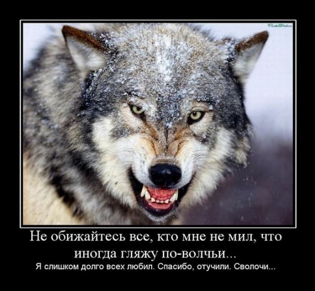 Итоги проверки пользователей