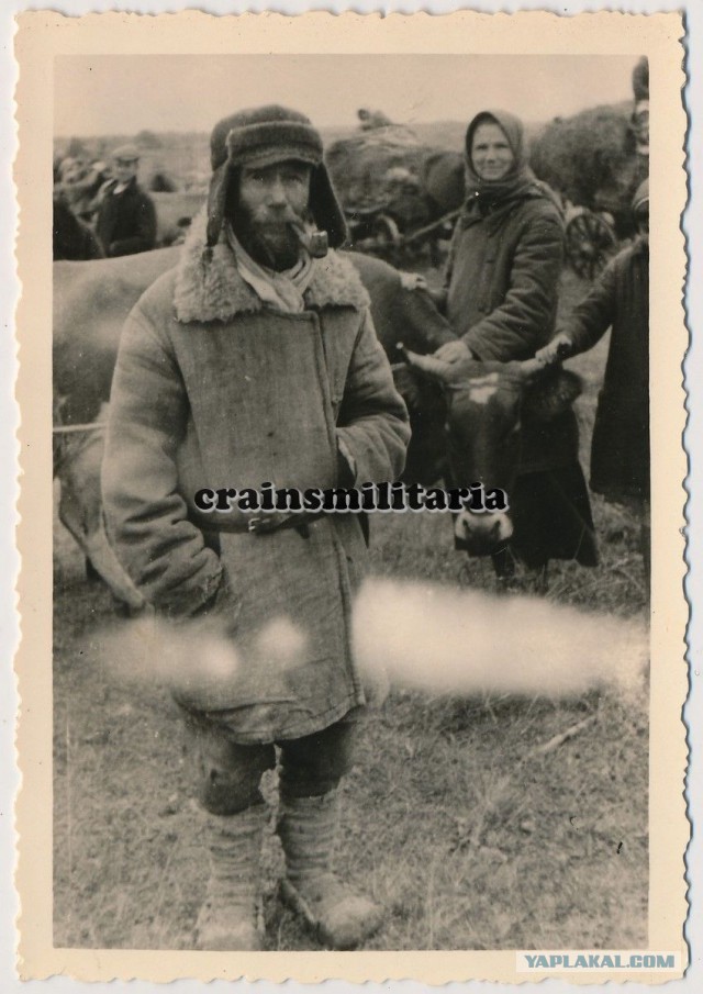 Крестьяне, деревенские  хаты. 1941-1942