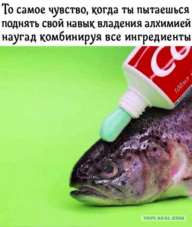Разные по свежести картинки