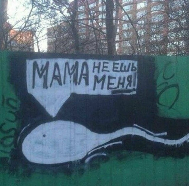 Асфальт, стены, заборы... Так пить или жить?