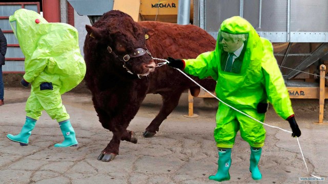 Фотожаба "На поводке"