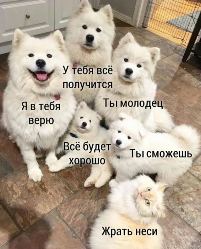 Женщины с низкой социальной ответственностью - меняются в браке или нет?