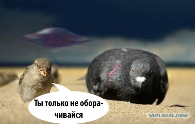 Диалог