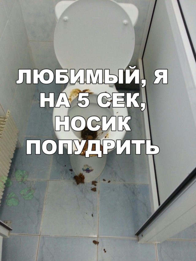 Расслабуха в эти выходные