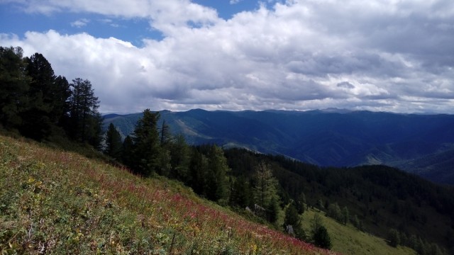 На конягах по Алтаю