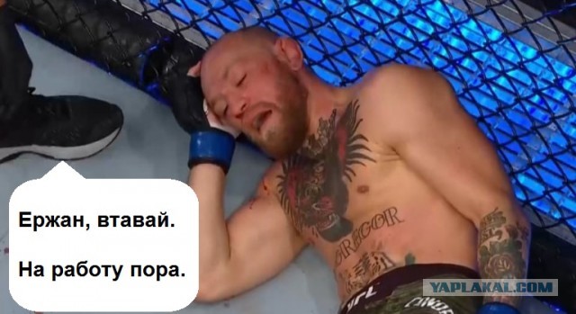 "Конор уснул". Нокаутированный Макгрегор стал мемом