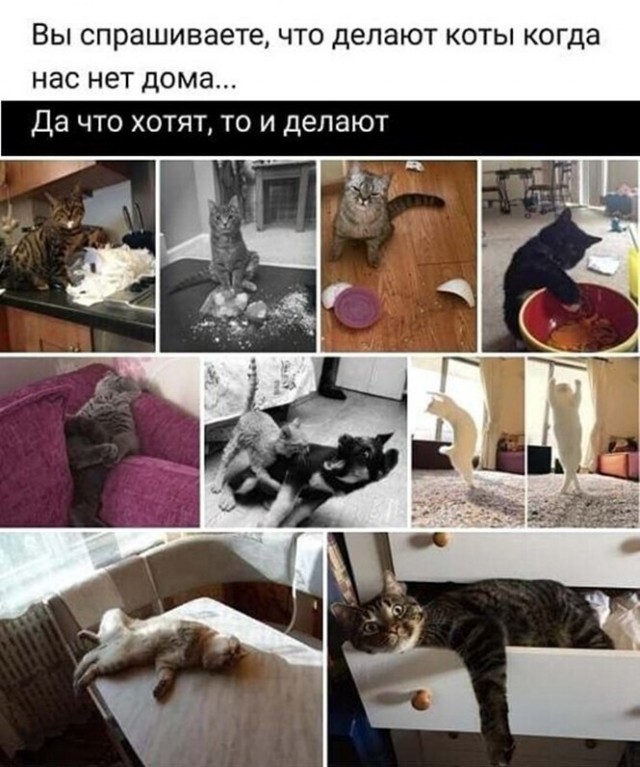 Картинки и мемы для настроения 30.03.2021