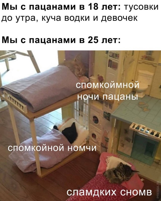Картинки и мемы для настроения