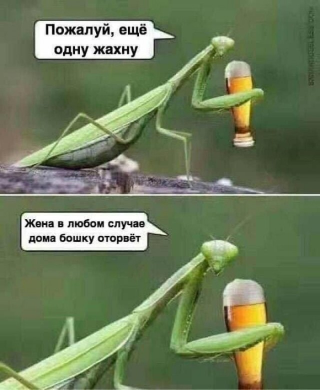 Так себе картинки 10.08.21