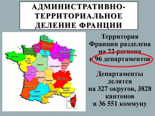 Троим жителям Франции, собравшим 96 кг черники, грозит тюрьма
