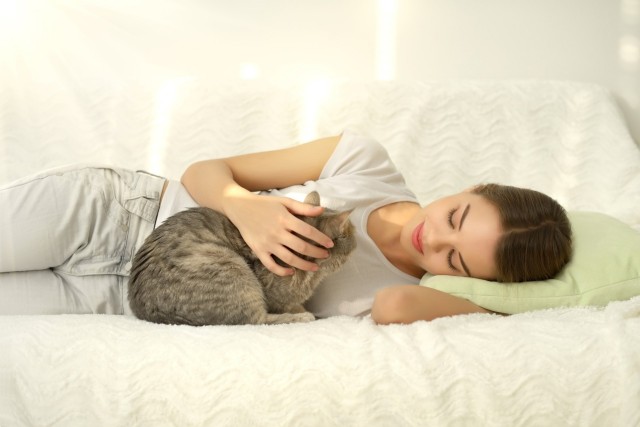 Девушки котовторника