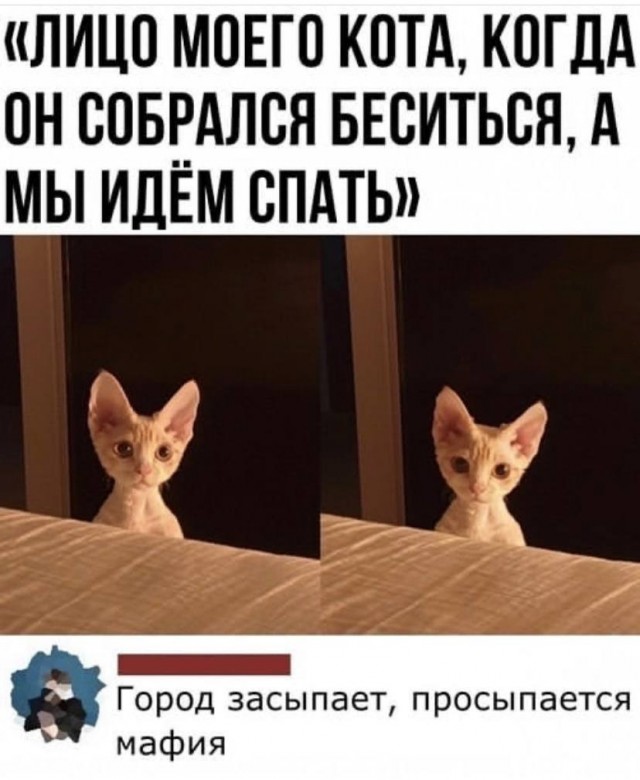 Картинки и мемы для настроения - 10