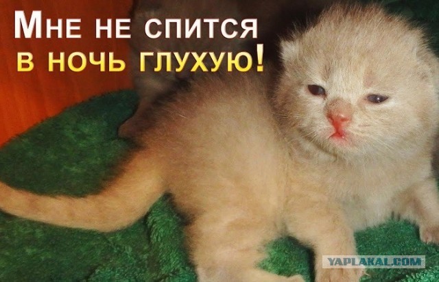 Про бессонницу. Кто прошёл через это, дайте дельный совет, уже до нервоза