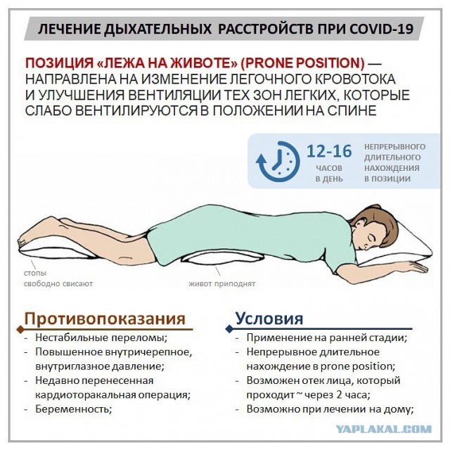 Пандемия. Коронавирус. Россия и мир. Часть 29
