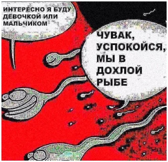 Созданы противозачаточные таблетки для мужчин