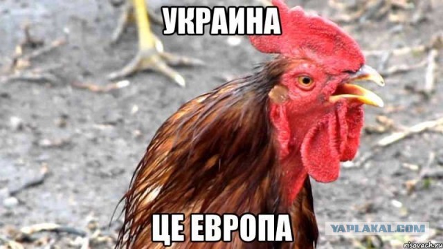 На Украине раскрыли планы убивать российских солдат после спецоперации