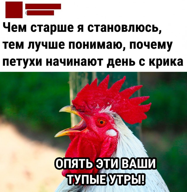 Так себе картинки 07.05.22