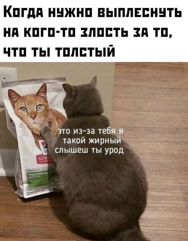 Так себе картинки 04.06.22