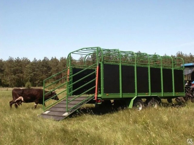 Вот это выдержка у таксиста!