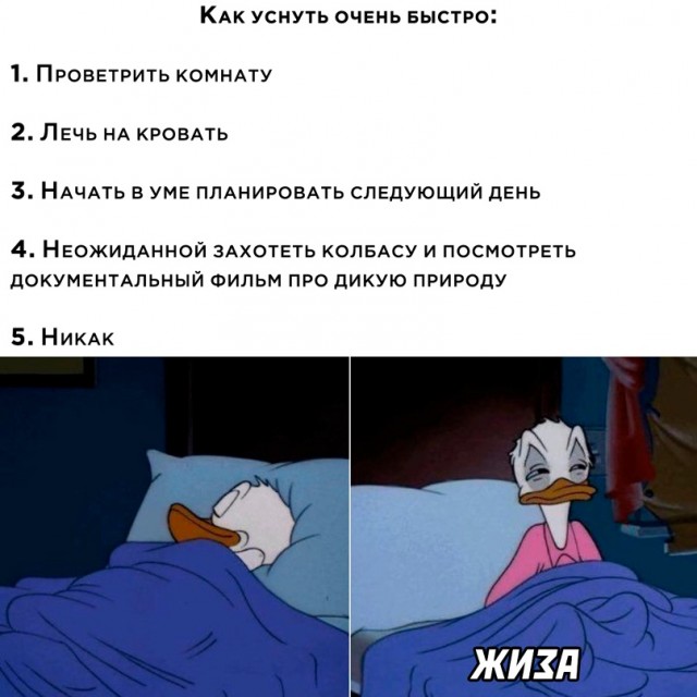 Немного картинок."Колбасный ветер". Август