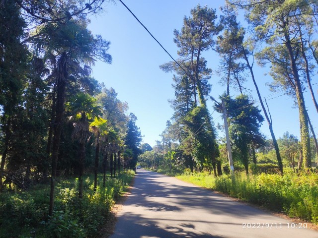 Мой Кавказ. Часть 2