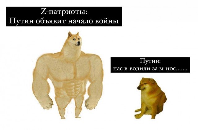 Путин в Санкт-Петербурге. Прямой эфир
