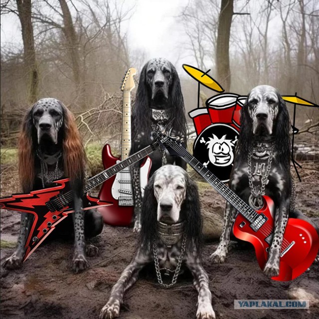 Собако Apocalyptica