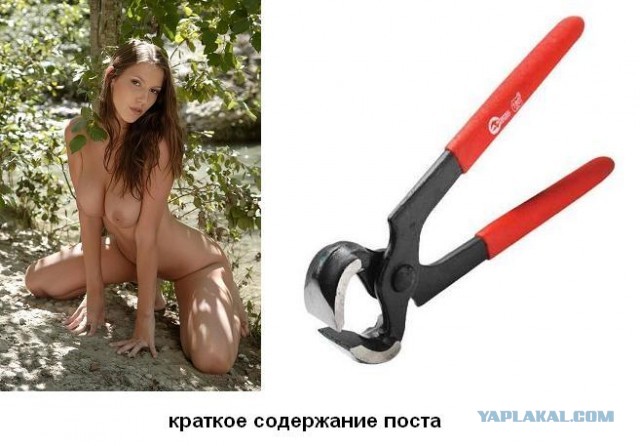 Майские праздники