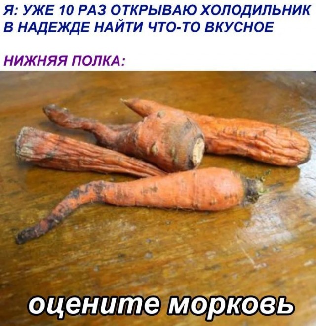 Приколы с налетом деградации