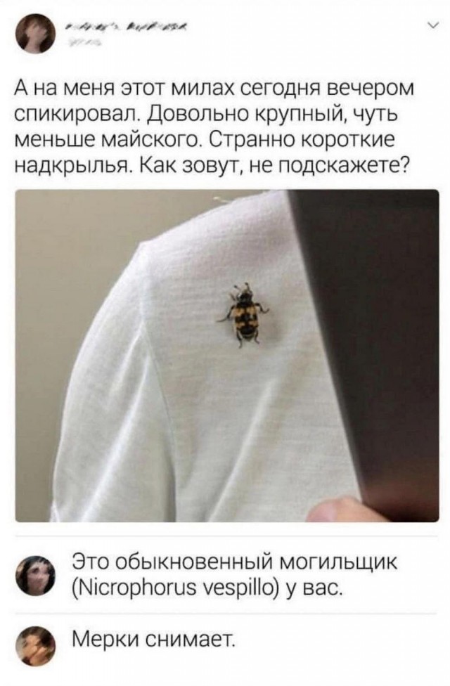 Юмор в картинках и без