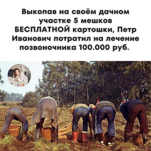 Никакие картинки и такие же тексты