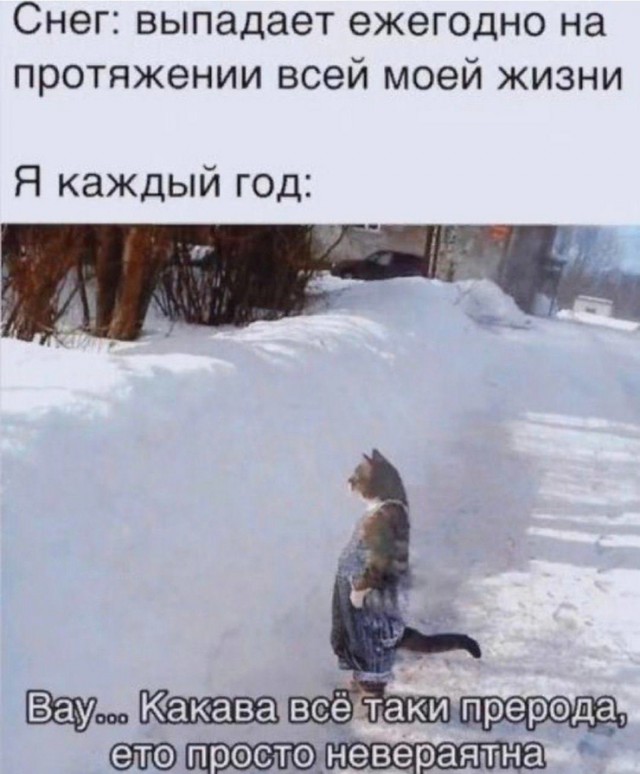 Всего понемногу. От 08.12.24