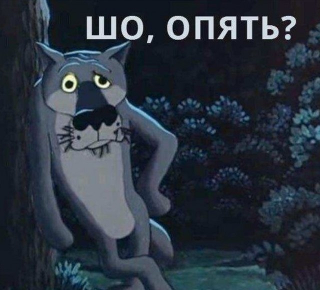 А давненько мы не выкладывали своих носатых друзей