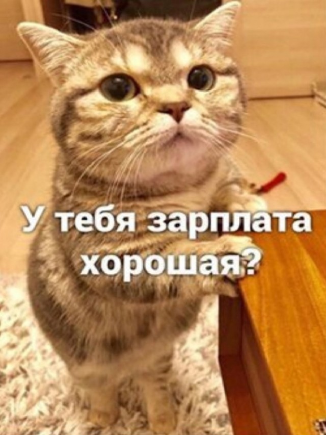 Так себе картинки 03.03.25