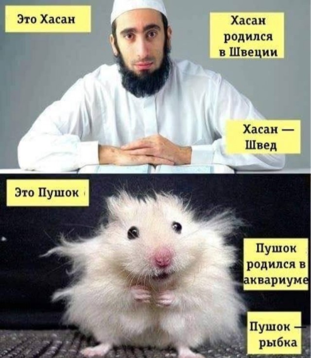 В дурке всё стабильно