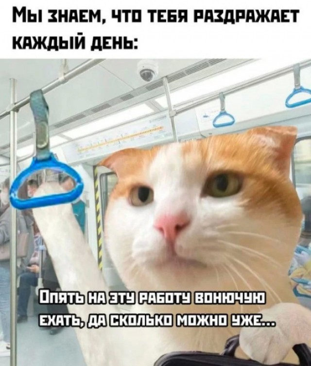Подборка мемчиков за пол дня