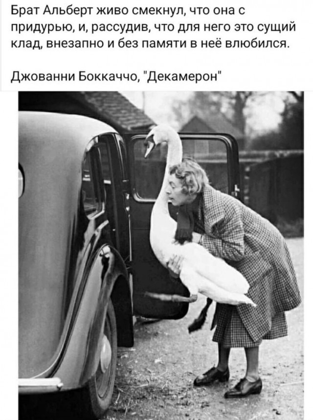 Завалялось тут случайно немного забавных картинок