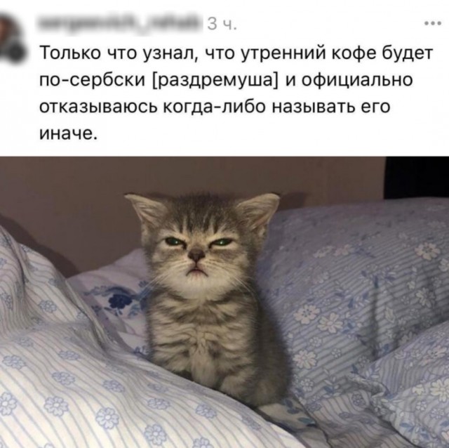 Так себе картинки 14.07.25