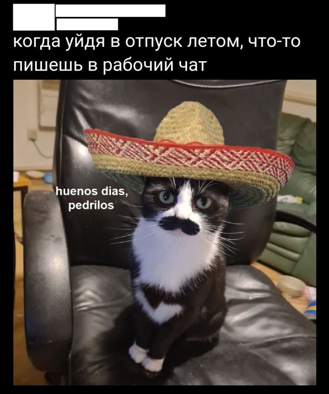 Всякая всячина