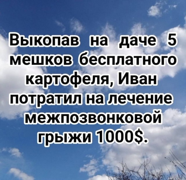 Картинки для деградации 30 (разной степени свежести)