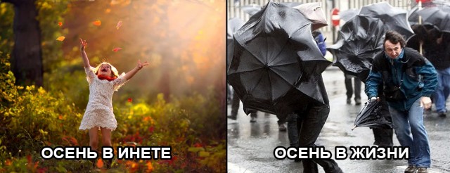 Вот и лето прошло...