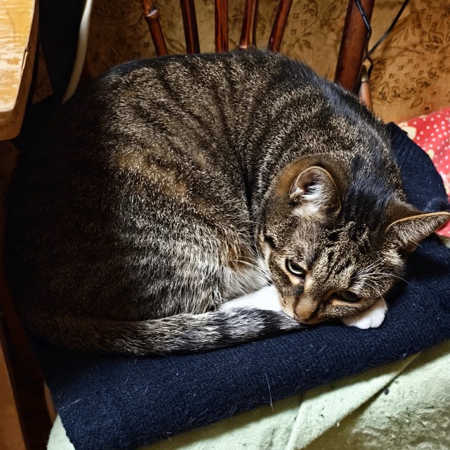 Осенняя хандра