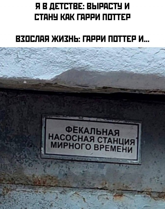 Так себе картинки 11.11.25