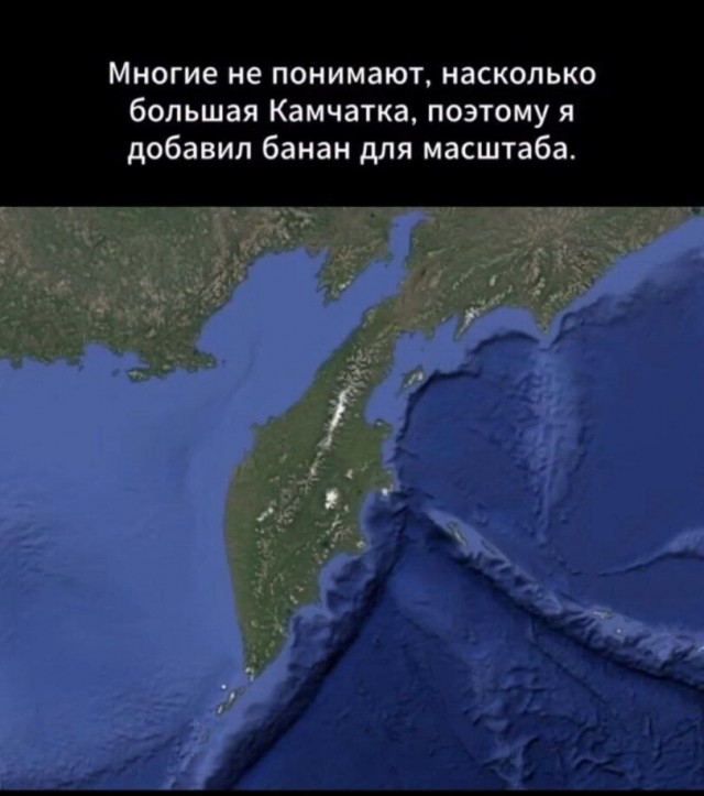 Дегидродегенерация