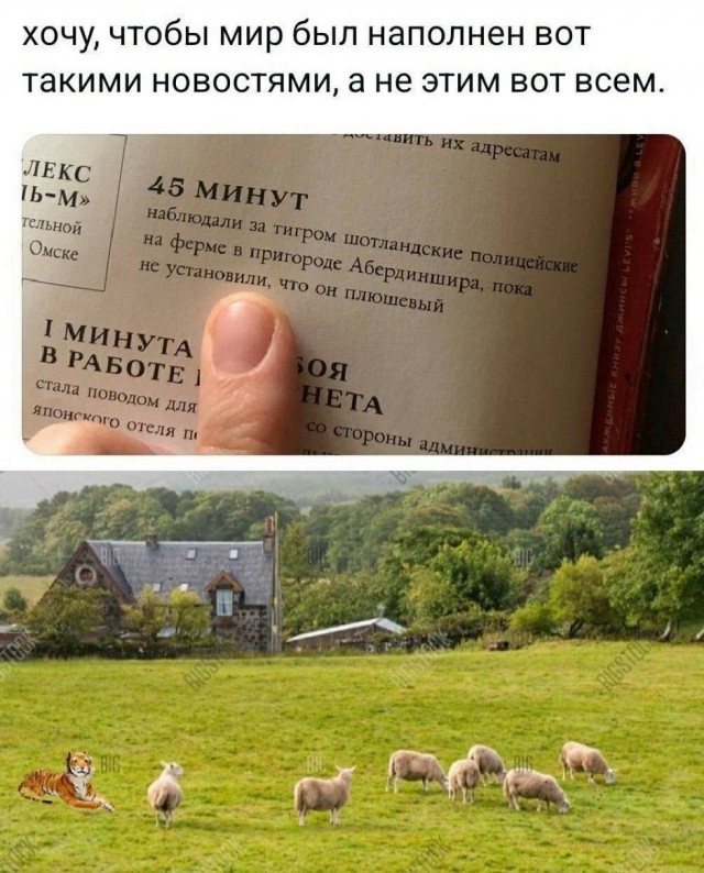 Так себе картинки 15.02.26