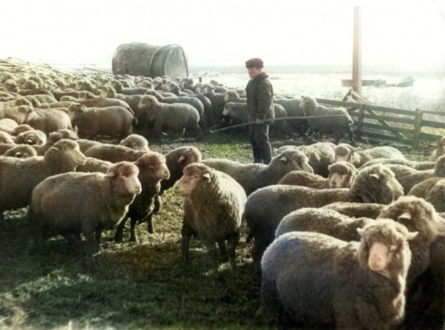 Фотографии из прошлого нашей страны – 137